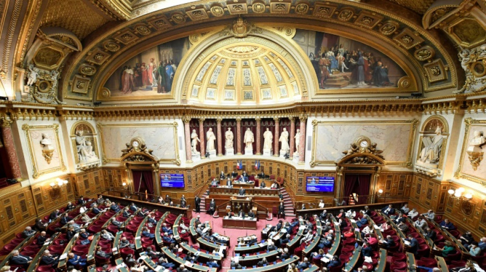 Le Sénat se lance dans la bataille de l'assurance emprunteur