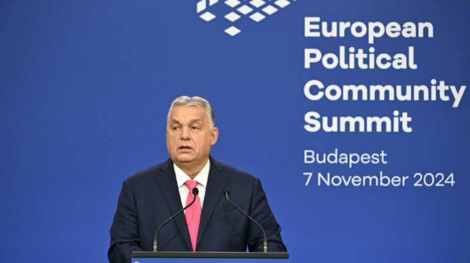 After Trump win, Orban basks in hosting European leaders