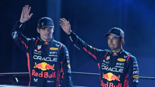 Verstappen: Formel 1 in Vegas "99 Prozent Show"