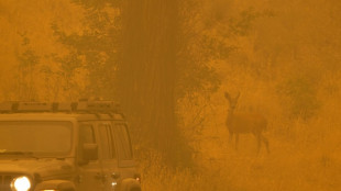 Bomberos luchan contra incendio forestal que amenaza ciudad en California
