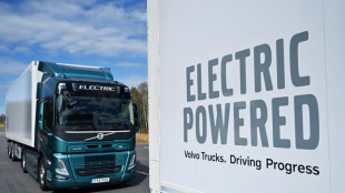 Electric trucks pick up speed despite bumpy road