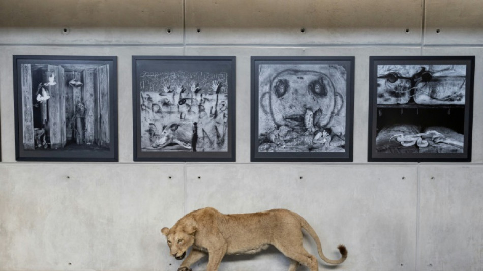 S.Africa art show highlights destructive ties between Man and Nature