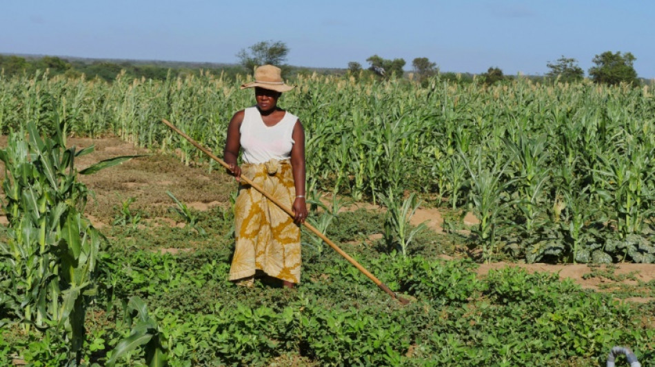 Cada vez más trabajadores sufren riesgos de salud por el cambio climático