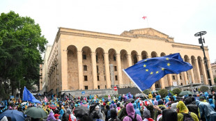 Georgians protest in last stand against 'foreign agent' bill