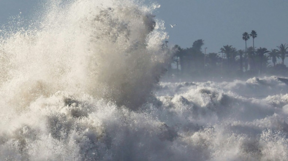 Surf's up: Big waves pound US West Coast