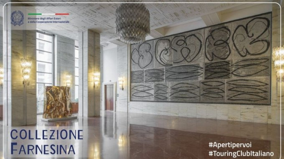 Visite guidate alla collezione d'arte Farnesina