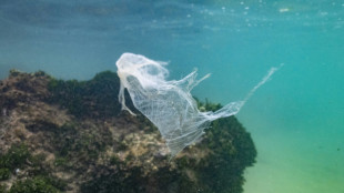 Le monde doit d'urgence s'attaquer à la pollution plastique marine, alerte le WWF