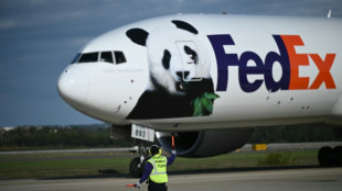 Two giant pandas arrive in US from China